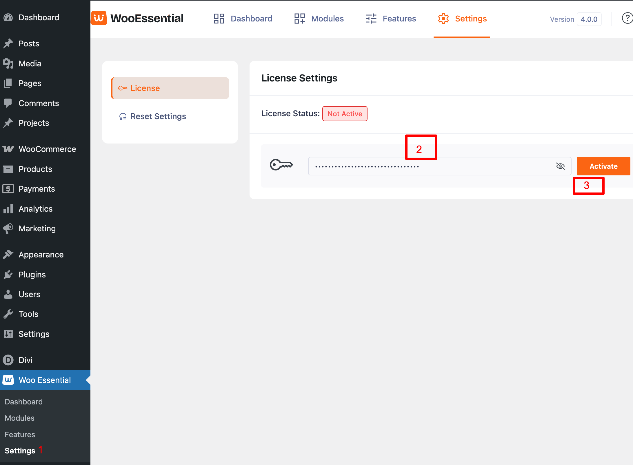 woo essential license activate